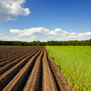 Greenhouse Operations and Management Colleges