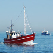 Marine Science/Merchant Marine Officer Colleges