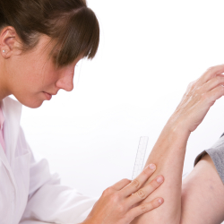 Occupational Therapists Occupational Therapists