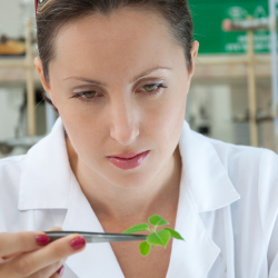Conservation Scientists Conservation Scientists